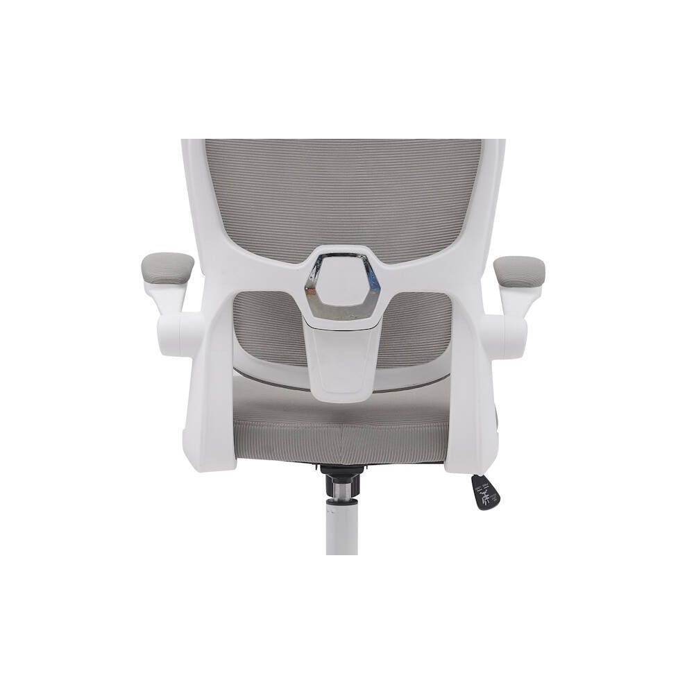 Silla de Oficina Ergonómica en Tejido 3D Gris con Reposacabezas Regulable y Refuerzo Lumbar - Medidas 65x55x114-124 cm